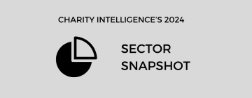 Charity Intelligence's 2024 Sector Snapshot
